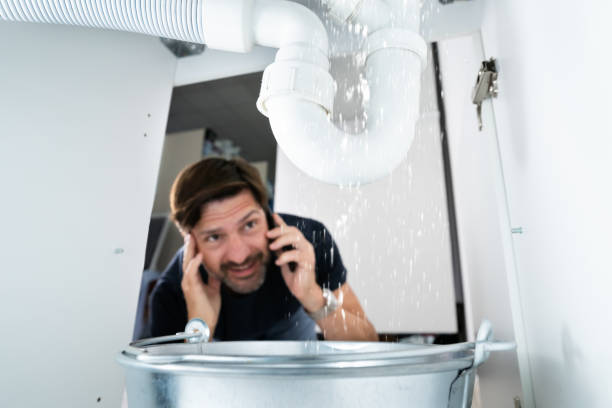 Best Sprinkler Systems  in Loveland, CO